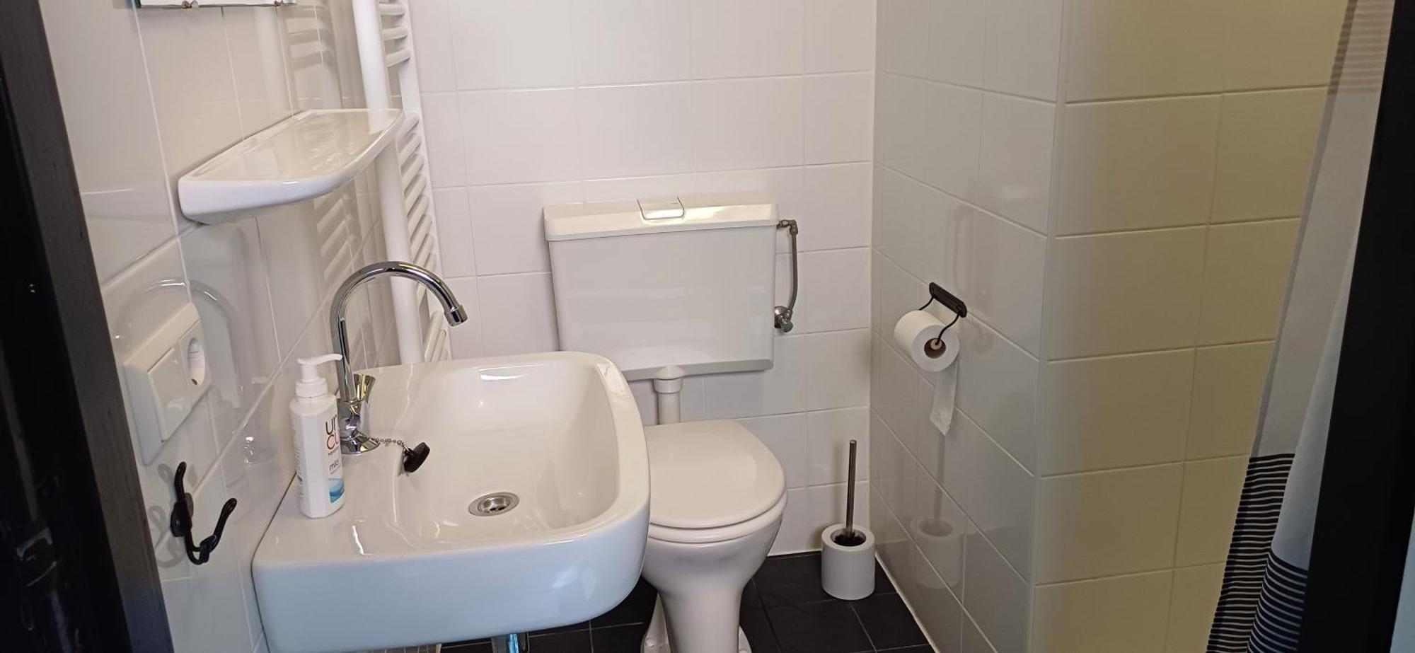 Bed and Breakfast De Snoeperij Dirksland Екстер'єр фото