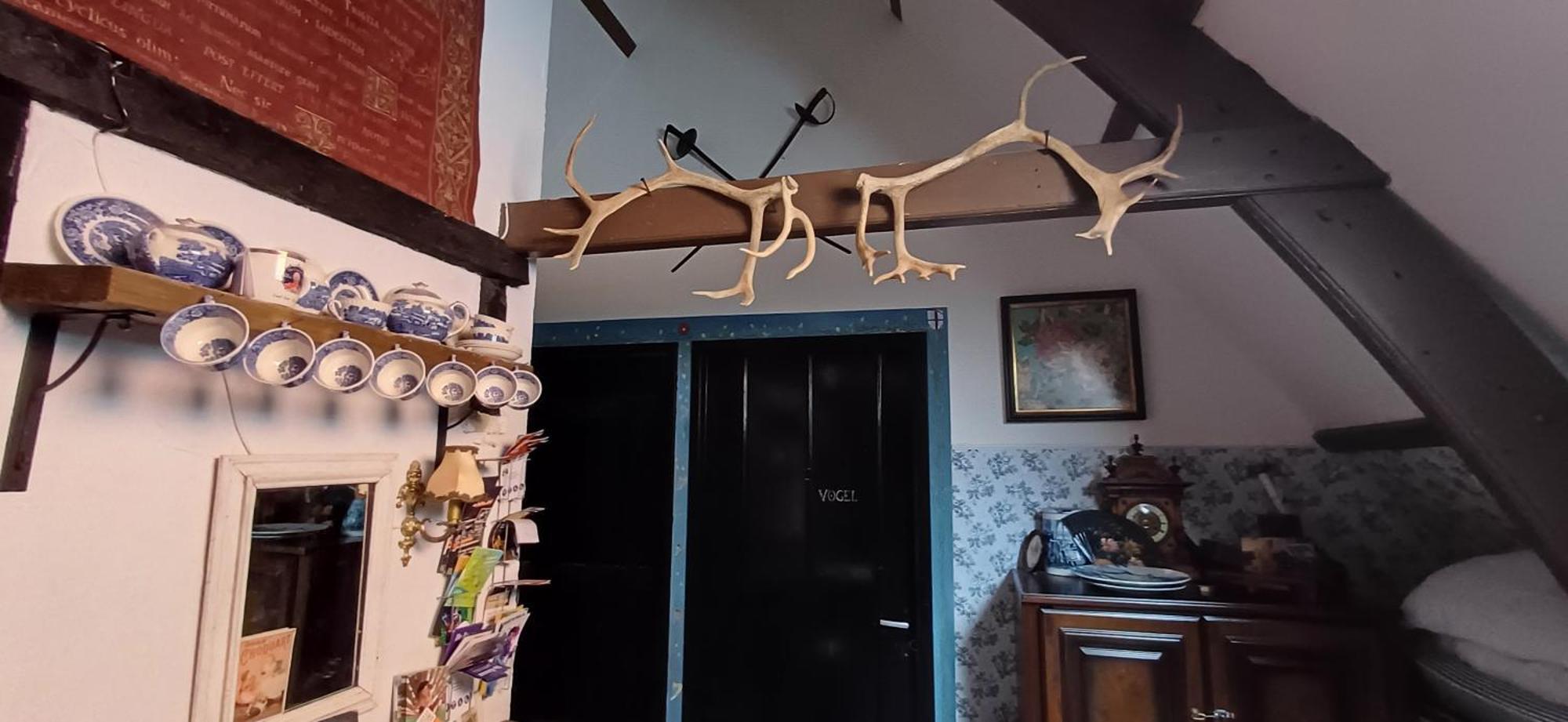 Bed and Breakfast De Snoeperij Dirksland Екстер'єр фото